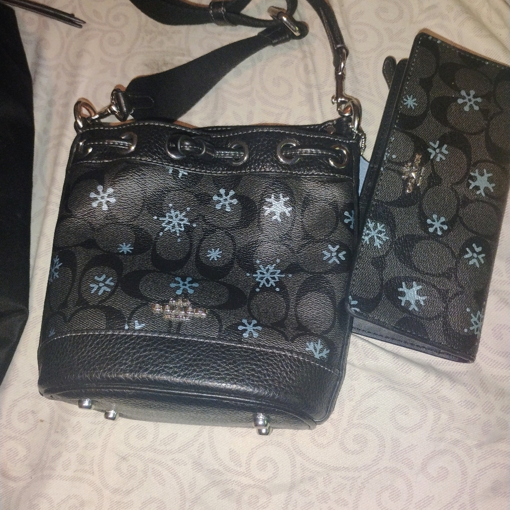 Coach purse & wallet winter edition